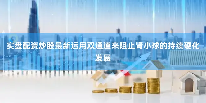 实盘配资炒股最新运用双通道来阻止肾小球的持续硬化发展