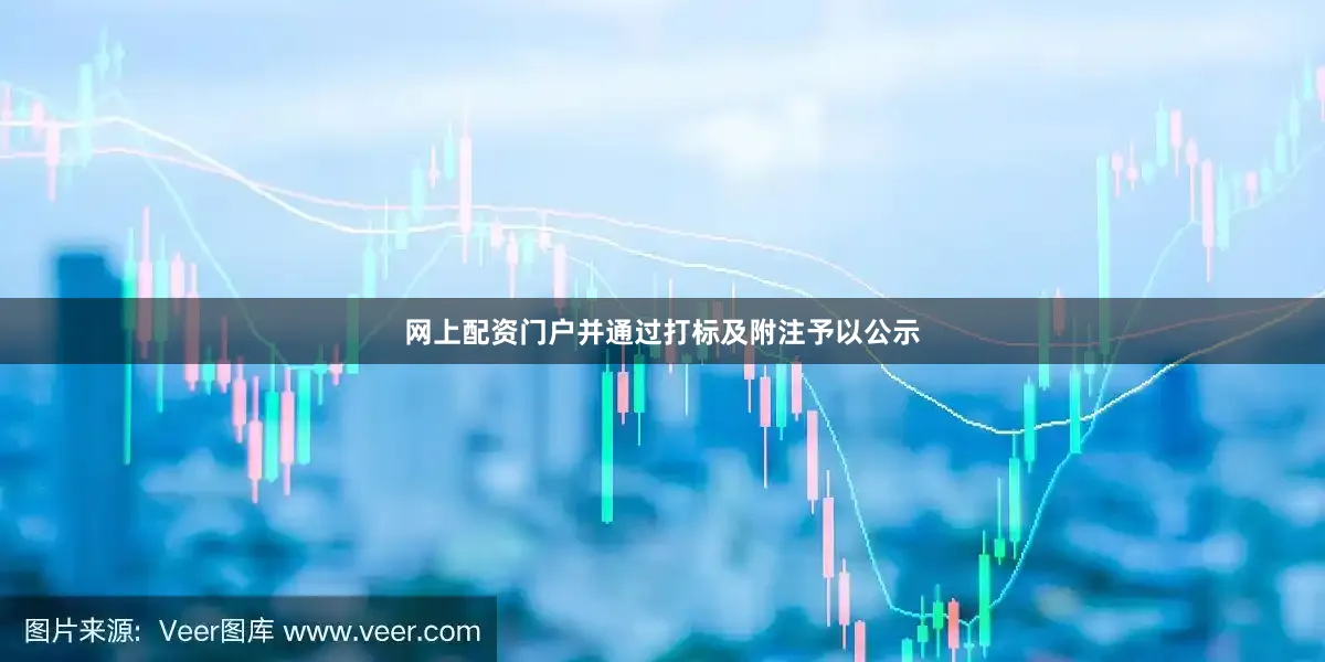 网上配资门户并通过打标及附注予以公示