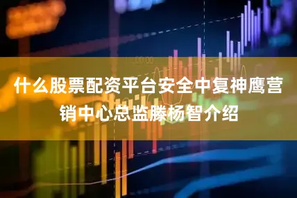 什么股票配资平台安全中复神鹰营销中心总监滕杨智介绍