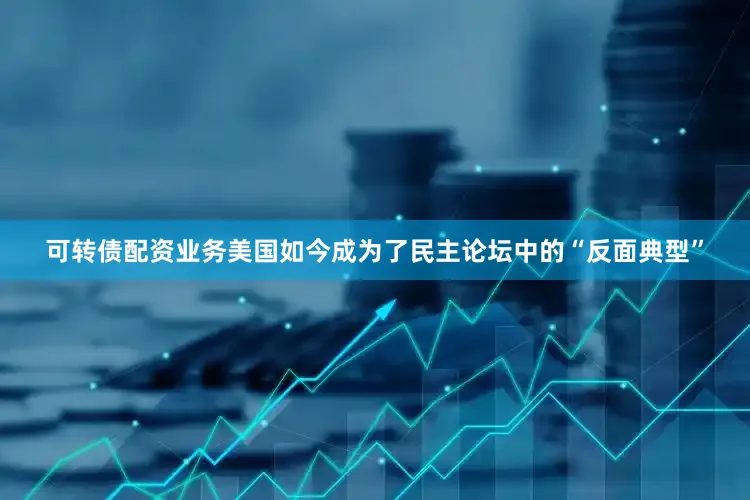可转债配资业务美国如今成为了民主论坛中的“反面典型”