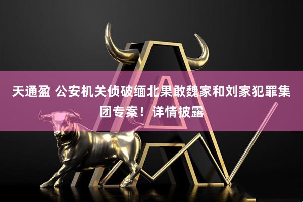 天通盈 公安机关侦破缅北果敢魏家和刘家犯罪集团专案！详情披露