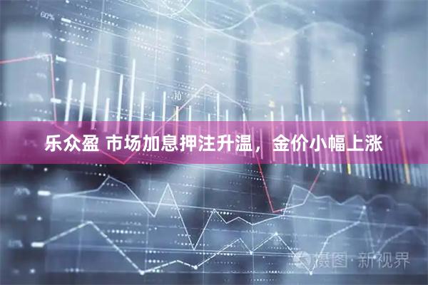 乐众盈 市场加息押注升温，金价小幅上涨
